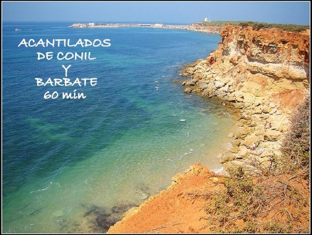 レブリハAcogedor Loft A 30 Minutos De La Playa Y Montanaアパートメント エクステリア 写真